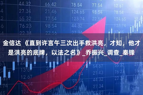 金信达 《直到许言午三次出手救洪亮,才知,他才是洪亮的底牌,以法之名》_乔振兴_调查_秦锋