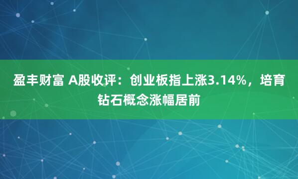 盈丰财富 A股收评：创业板指上涨3.14%，培育钻石概念涨幅居前