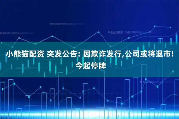 小熊猫配资 突发公告: 因欺诈发行,公司或将退市! 今起停牌